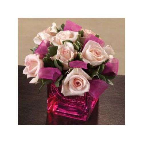 Sheer Pink Delight